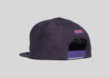 Raptor Snapback